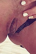 Siena Girls Virginia 353 31 66 427 foto hot 2
