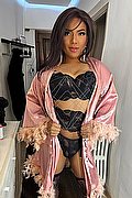 Trento Trav Zaffira Dior 351 22 39 498 foto 17