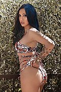 Sanremo Trans Ruby Asiatica 366 48 28 897 foto 26