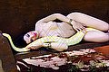 Lido Di Camaiore Trans Belovie 353 31 34 168 foto 4
