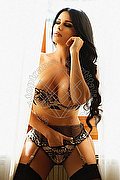 Potenza Trans Escort Karmen Gold 334 84 79 197 foto 26