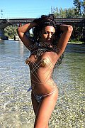 Villa Rosa Trans Escort Letizia 334 32 31 769 foto 21