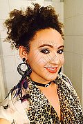 Prato Trav Evelyn Zaffiro 320 17 58 613 foto 5
