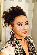 Prato Trav Evelyn Zaffiro 320 17 58 613 foto 6