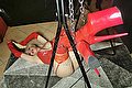 Arezzo Mistress Trans Mistress Laura 320 83 56 177 foto 17