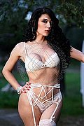 Rende Trans Escort Shaila Rodriguez 338 47 45 523 foto 14