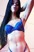 Udine Trans Escort Stella 350 94 22 249 foto 8