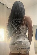 Lucca Trav Escort Crystal 353 31 40 303 foto 7