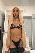 Bologna Trans Brunna Campanaro 350 93 35 566 foto 9