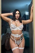 Nola Trans Ariell 338 17 45 029 foto 23
