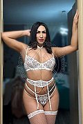 Nola Trans Escort Ariell 338 17 45 029 foto 23