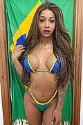 Alba Adriatica - Milano Trans Hillary Brasiliana 338 41 36 322 foto 2