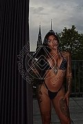 Firenze Trans Bruninha 350 85 78 851 foto 27