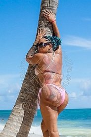 Foto di Stella