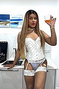 Milano Trav Escort Kisha 344 42 00 761 foto 6