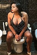 Cesena Trans Escort Vanessa 344 46 08 346 foto 12
