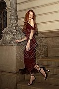 Reggio Emilia Trans Escort Luiza zimmer 351 14 42 084 foto 3
