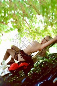 Foto di Scarlett