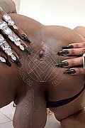 Porto Sant'elpidio Trans Bruna Diaz XL 380 69 93 638 foto hot 29